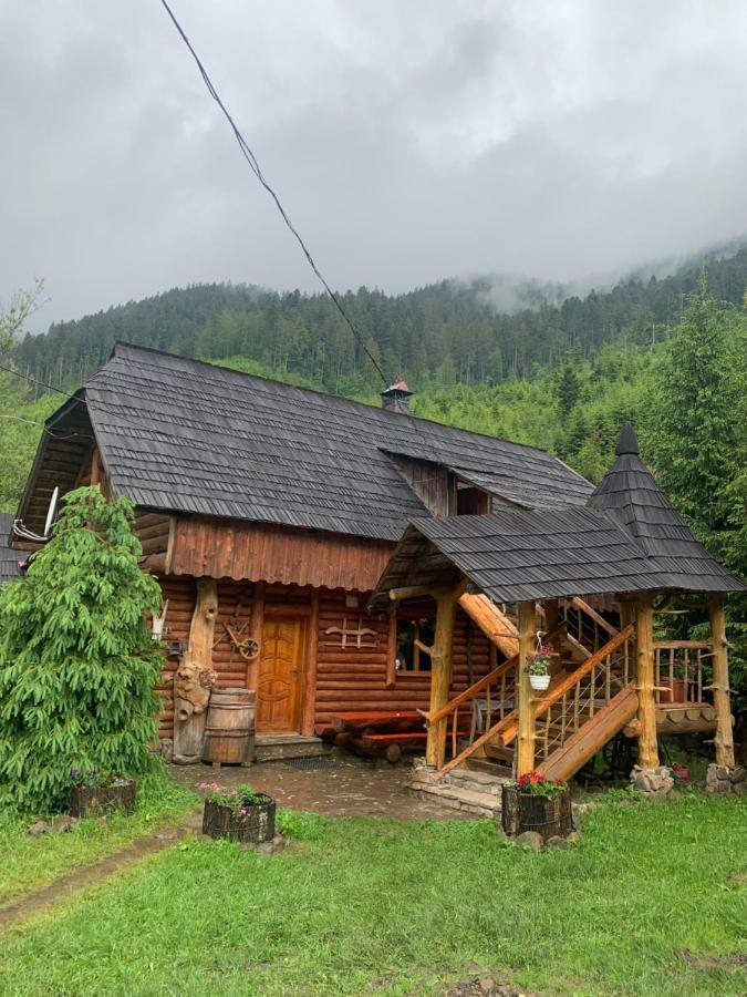 Будинок Художника Synevyrs'ka Polyana Exterior photo