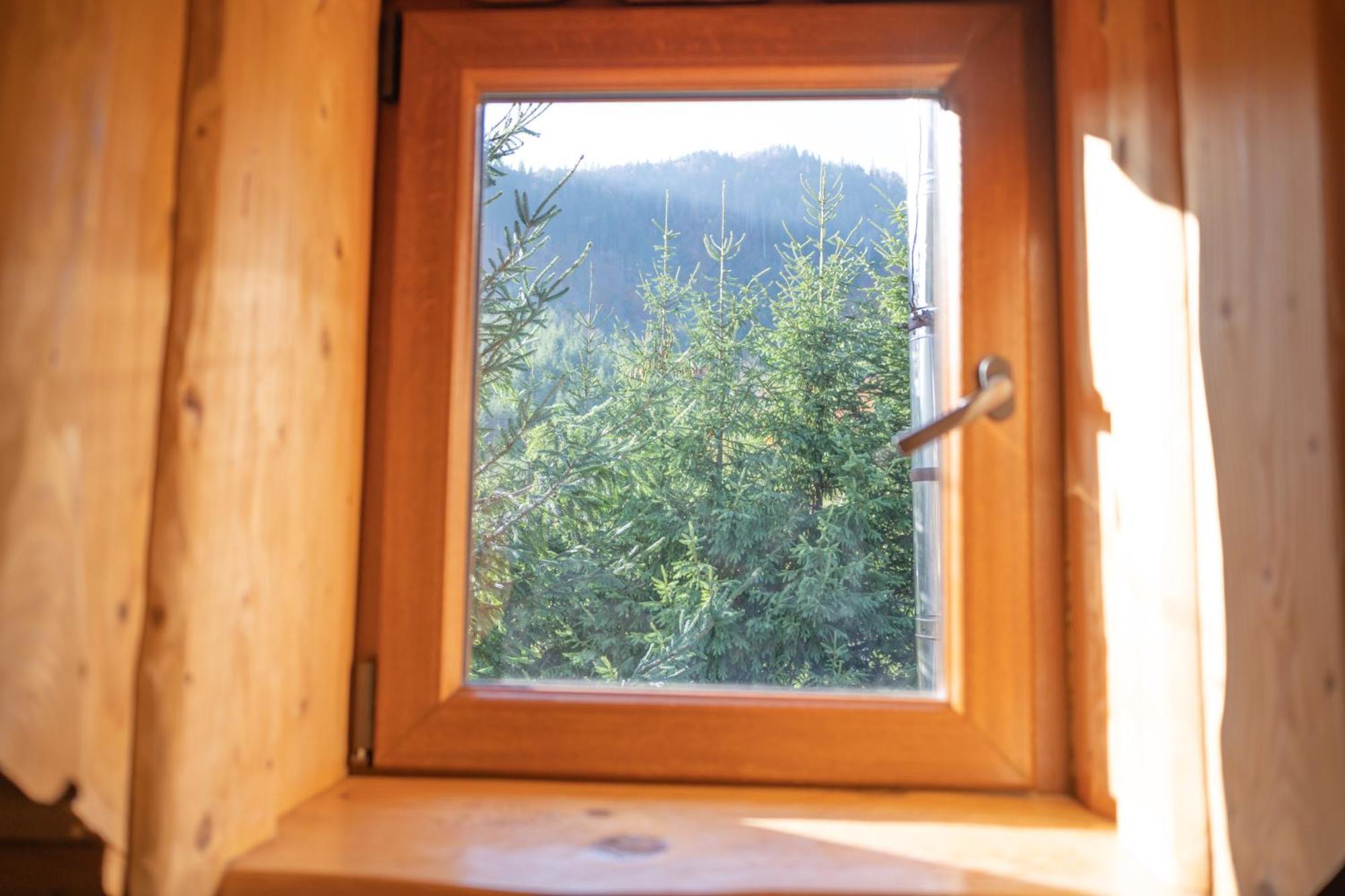 Будинок Художника Synevyrs'ka Polyana Room photo