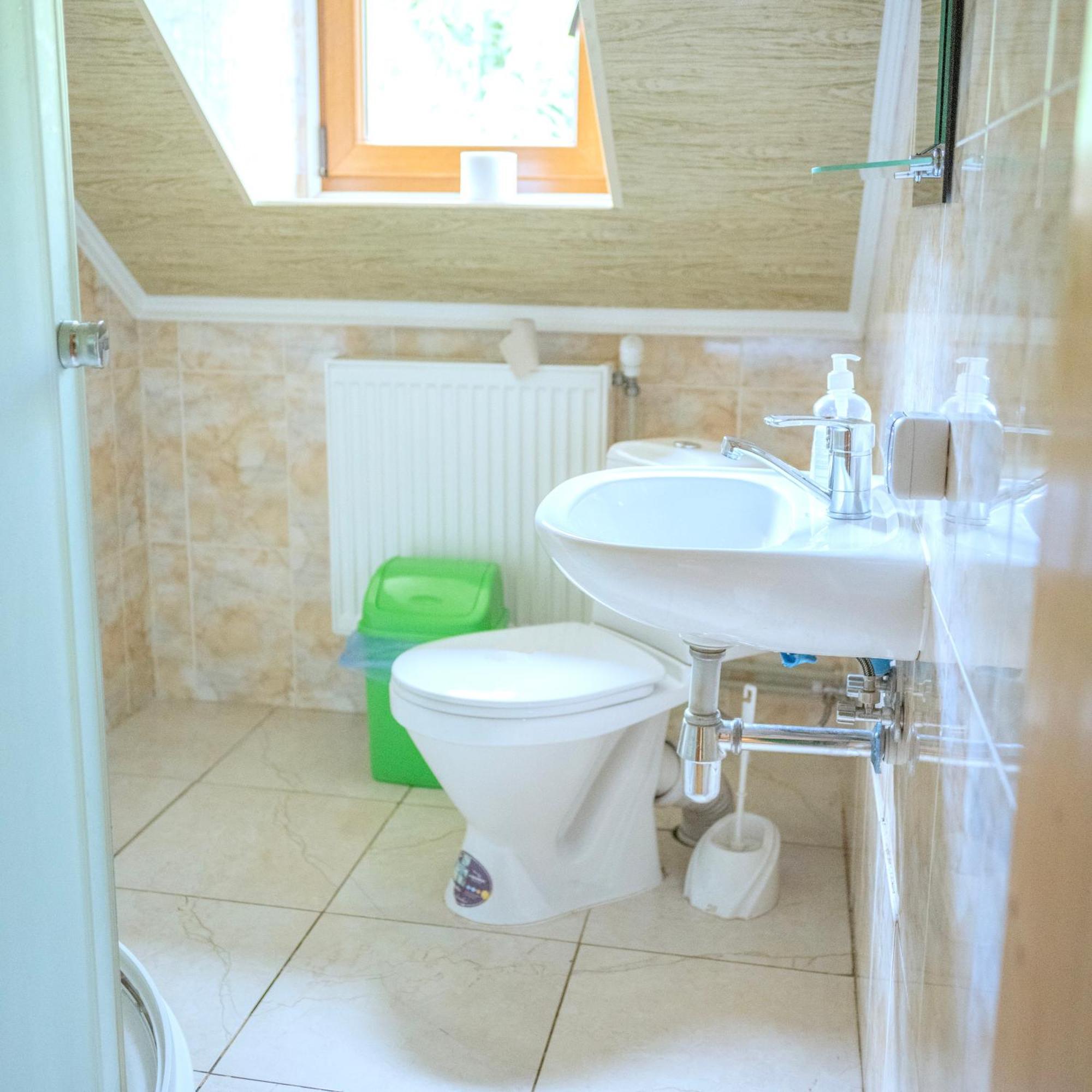 Будинок Художника Synevyrs'ka Polyana Room photo