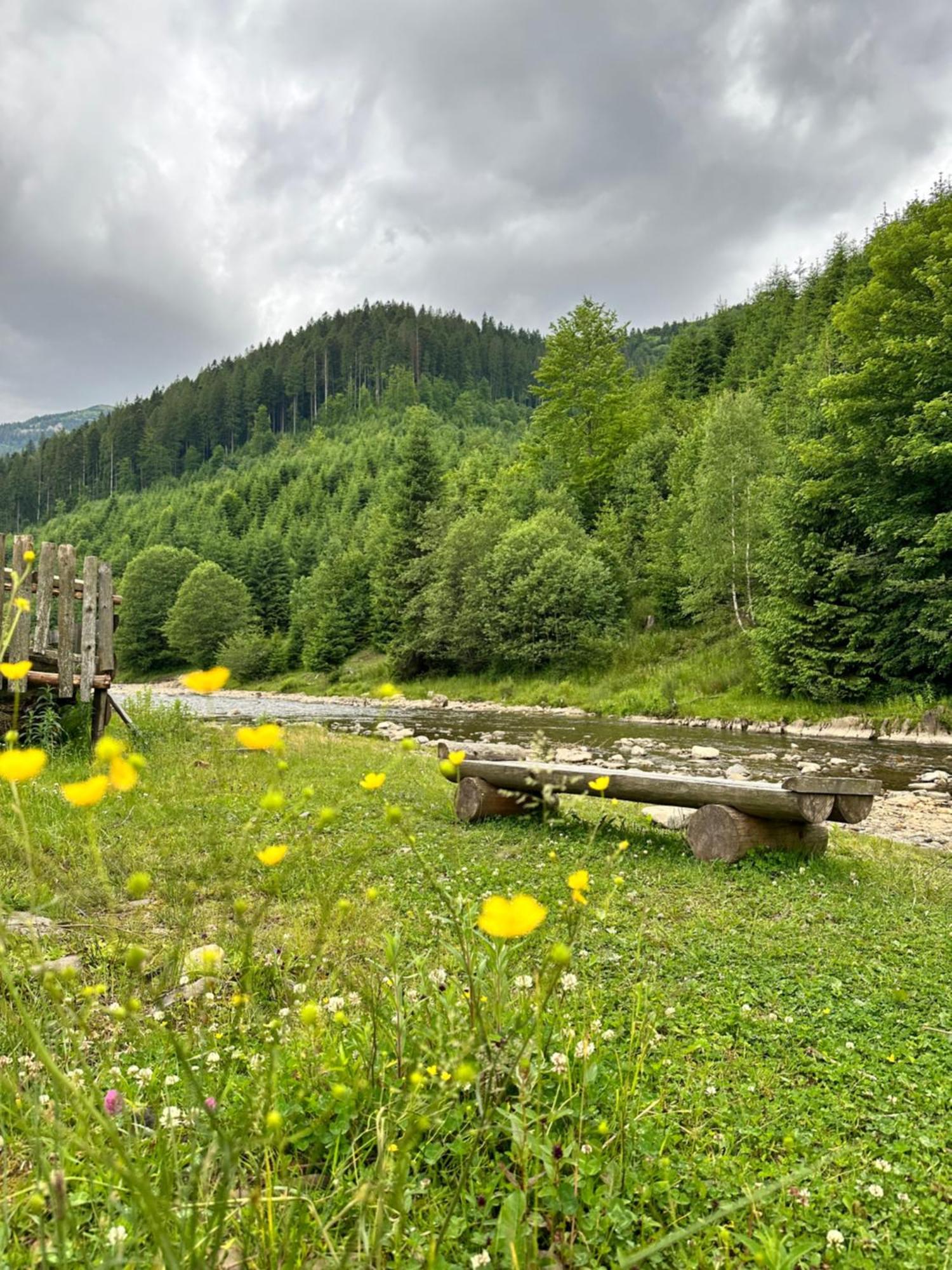 Будинок Художника Synevyrs'ka Polyana Exterior photo